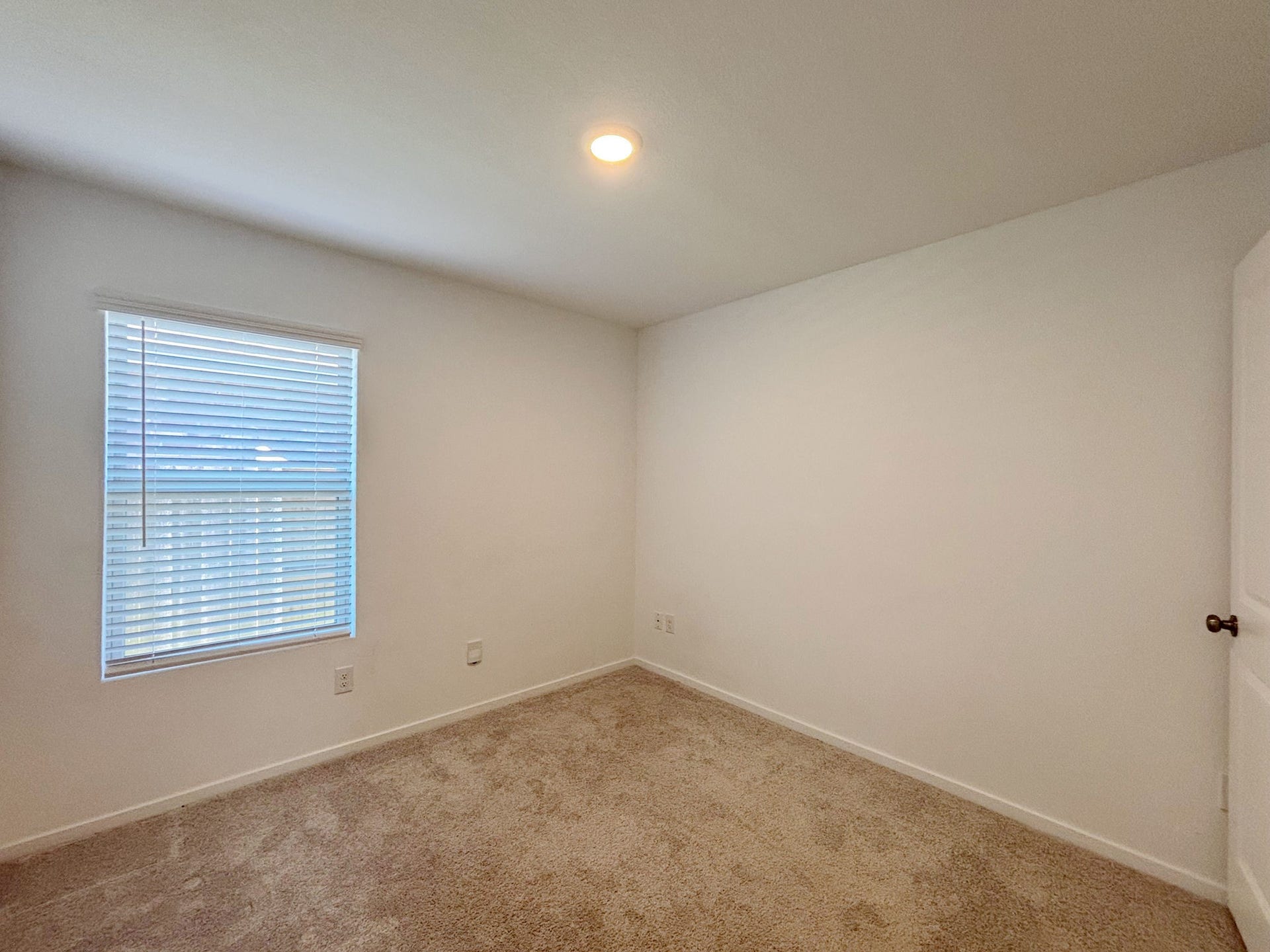 3107 Savannah Rose Drive, Angleton, TX 77515