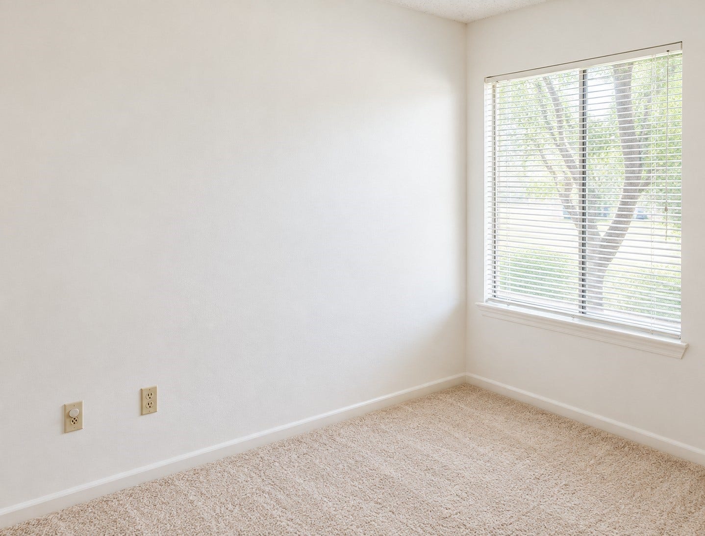 Additional bedroom with natural light and flexible space.