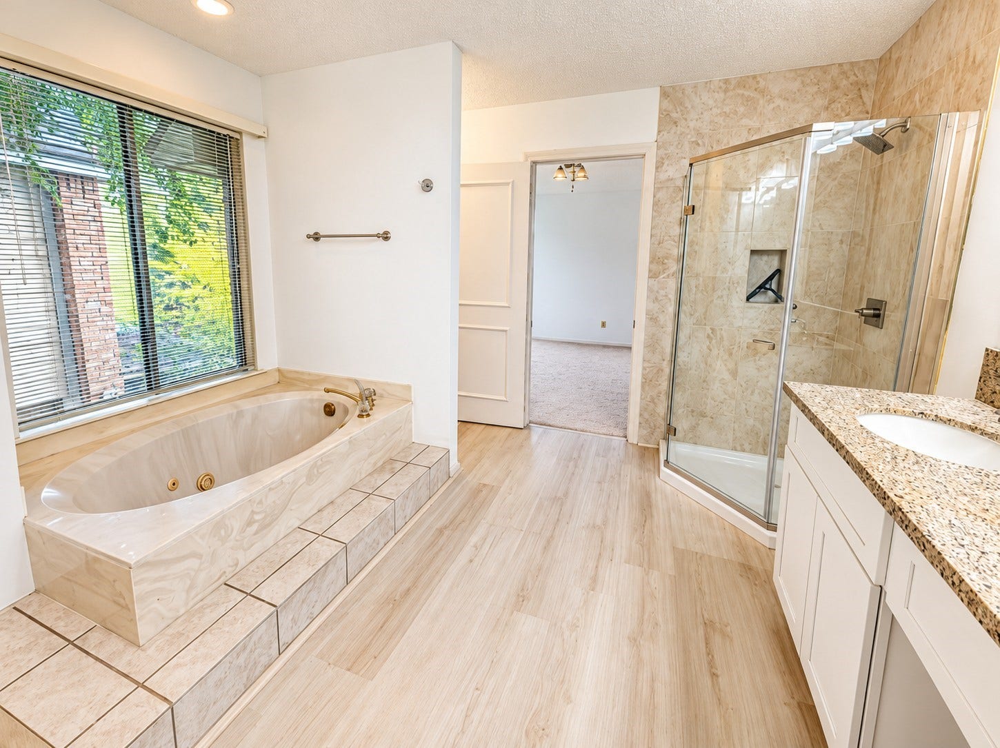 Primary bathroom featuring a soaking tub, separate glass-enclosed shower, and vanity.