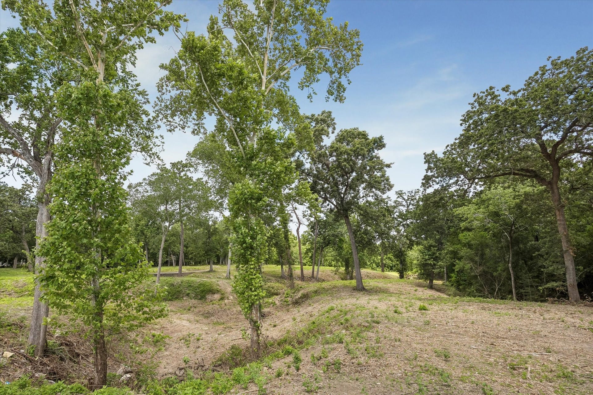 0 Deerwood Drive, Houston, TX 77042 0 Deerwood Drive, Houston, TX 77042