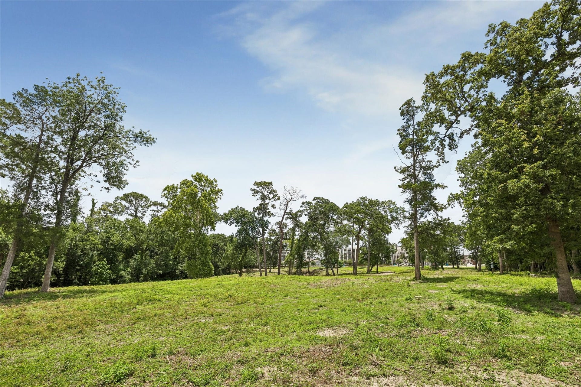 0 Deerwood Drive, Houston, TX 77042 0 Deerwood Drive, Houston, TX 77042