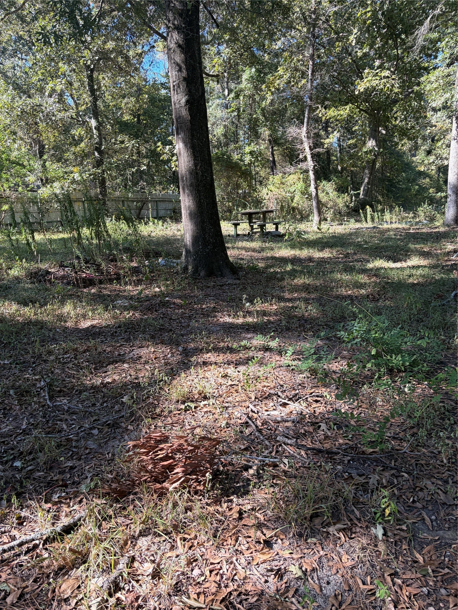 27275 S Oak Creek Drive, Splendora, TX 77372