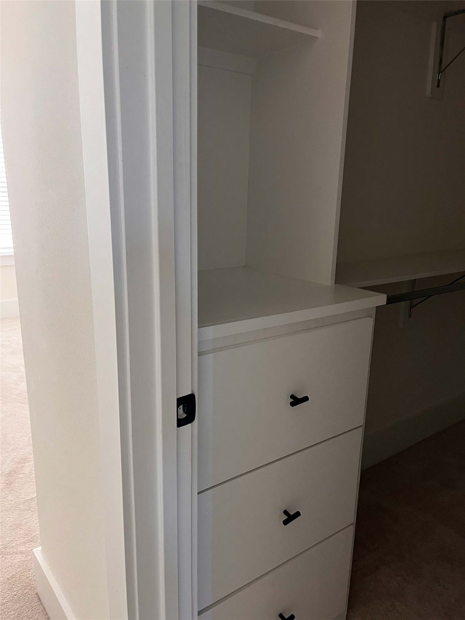 1408 W W 21st Street, #C, Houston, TX 77008 Primary Closet Feature