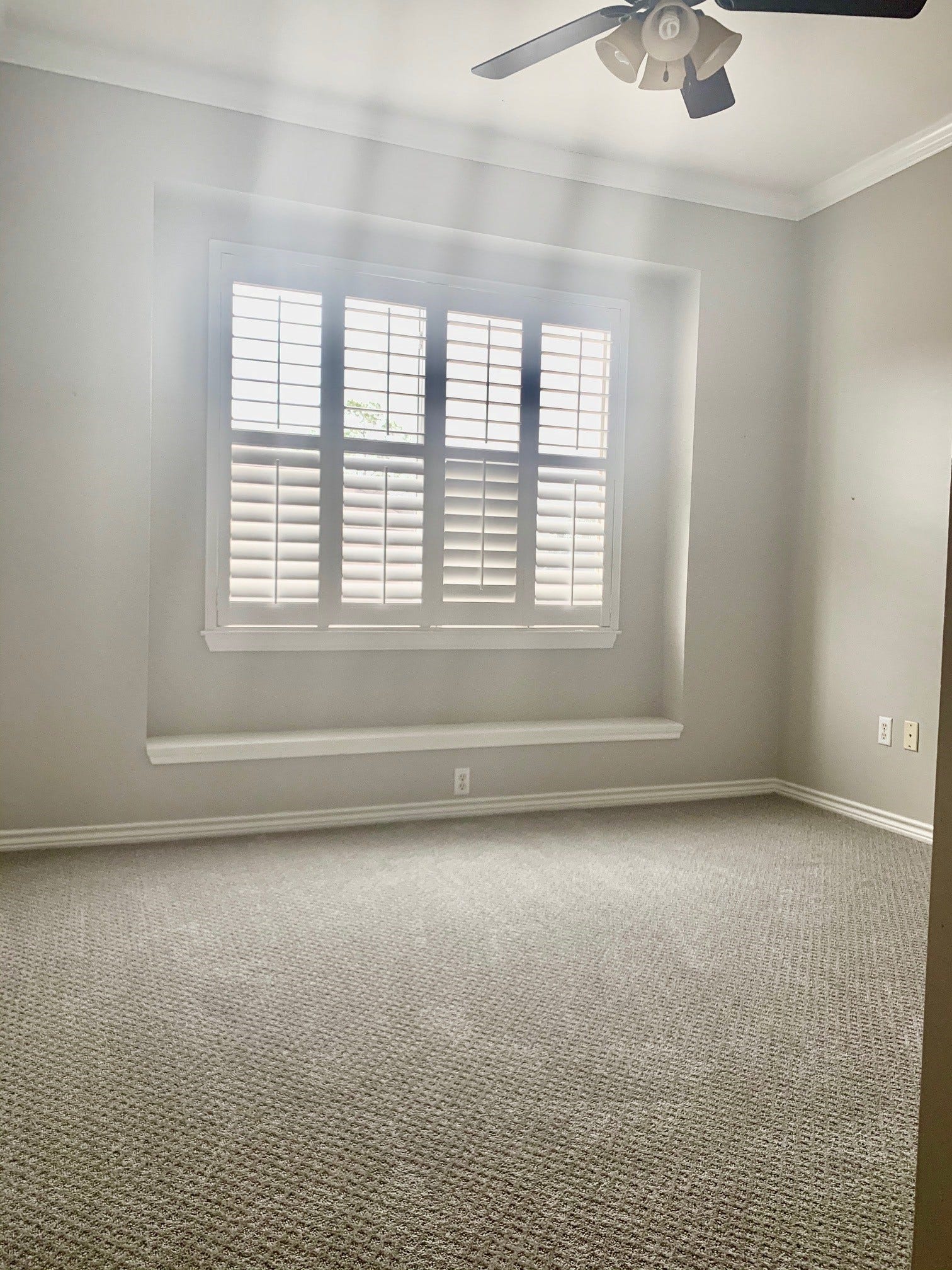 4303 Childress Street, Houston, TX 77005 4303 Childress Street, Houston, TX 77005