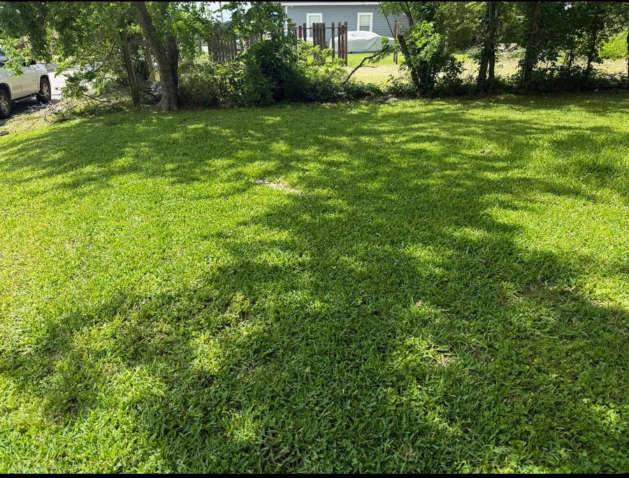 Property photo for 1409 Bringhurst Street, Houston, TX