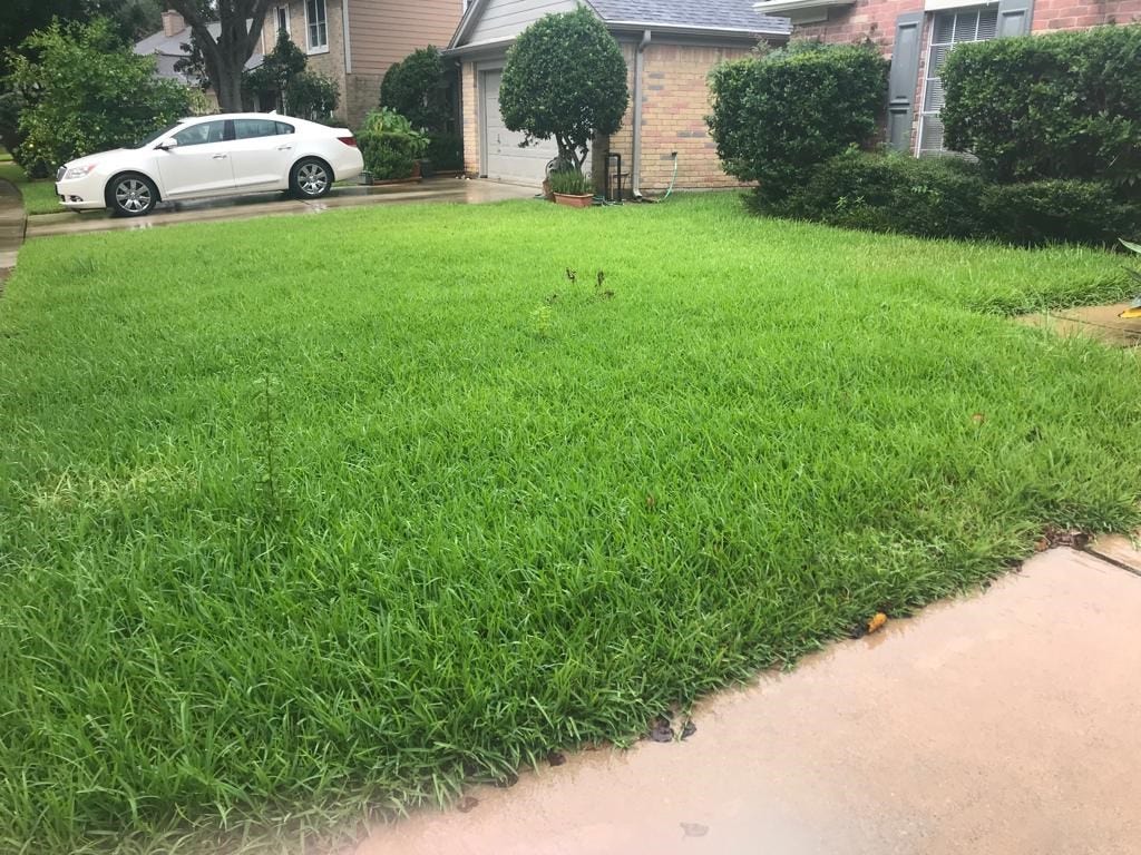 4718 Rainbow Run, Sugar Land, TX 77479 4718 Rainbow Run, Sugar Land, TX 77479