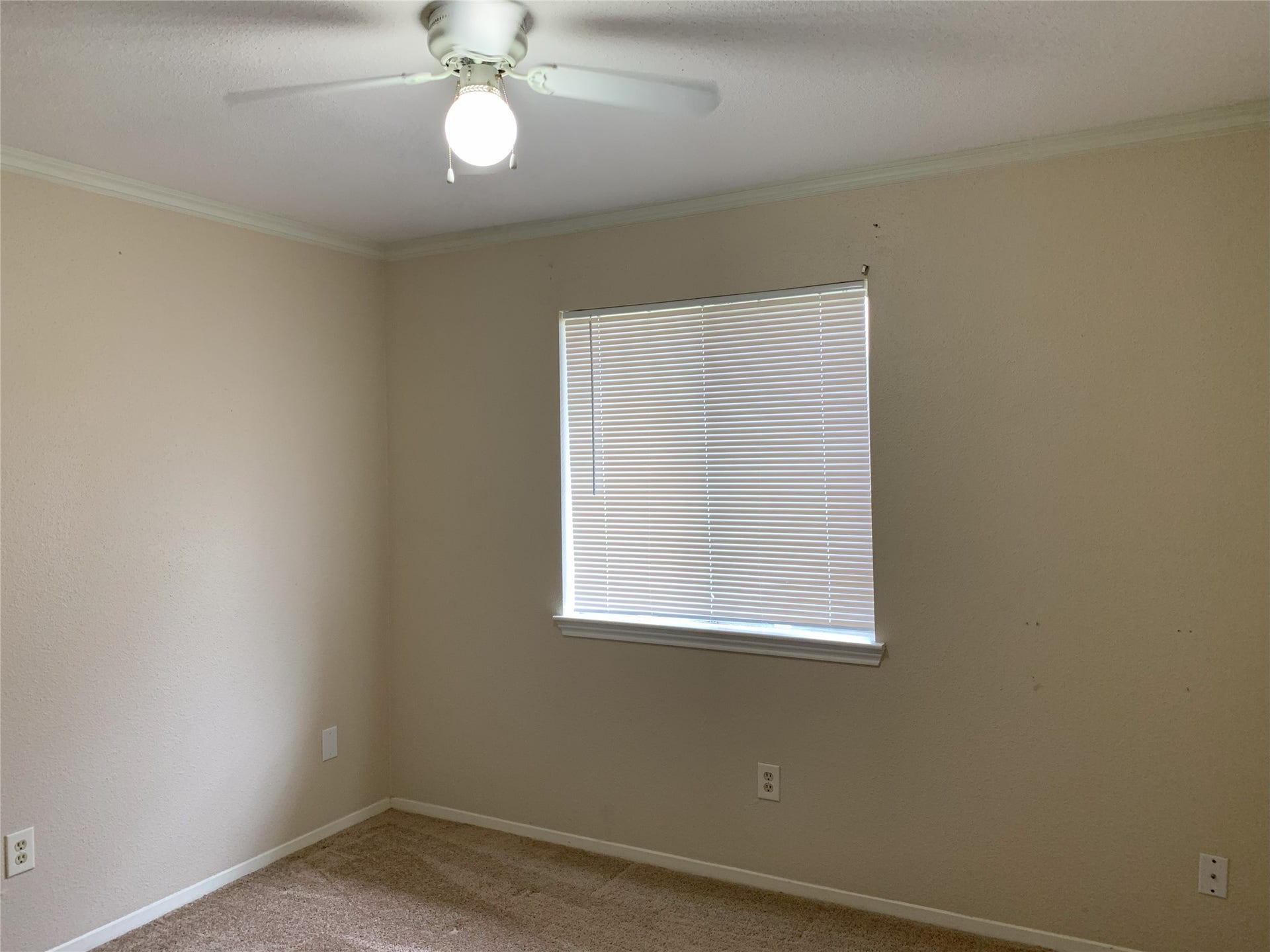1126 Pinecroft Drive, Sugar Land, TX 77498 1126 Pinecroft Drive, Sugar Land, TX 77498