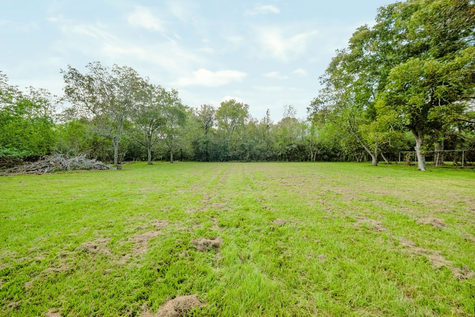 1642 Pultar Road, Richmond, TX 77469 While the front portion of this property is open, the back is heavily wooded. Keep the wooded area for privacy, or clear it and create a hobby farm.