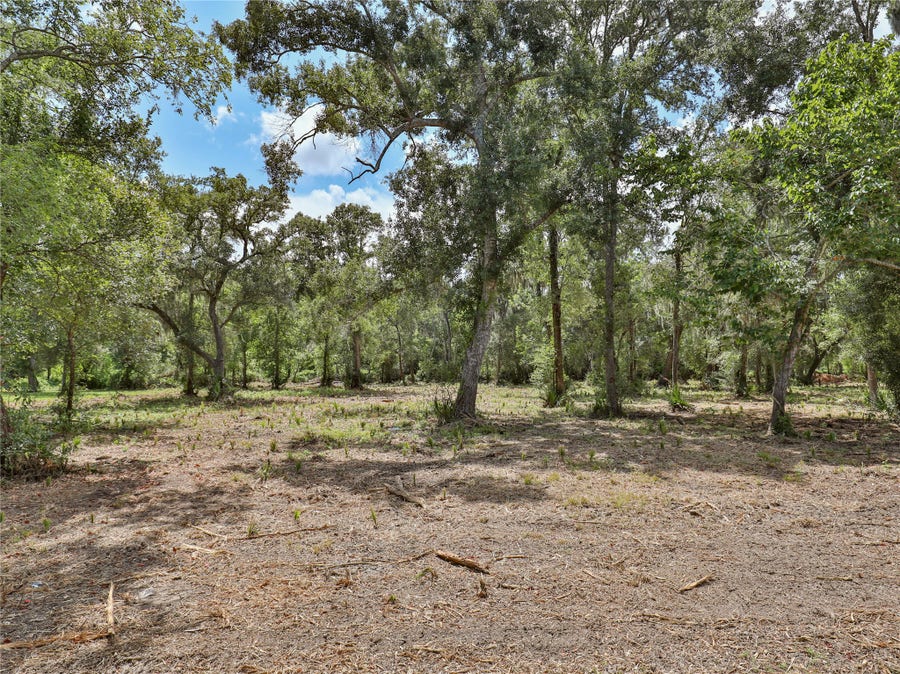 Property photo for 2289 Cr-851, Brazoria, TX