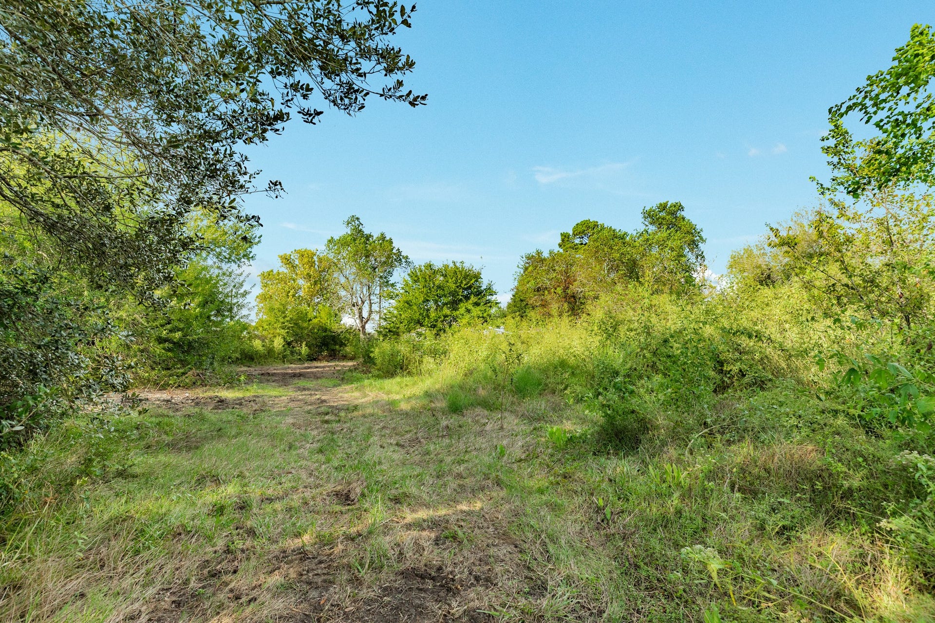7724 Jordan Road, Manvel, TX 77578