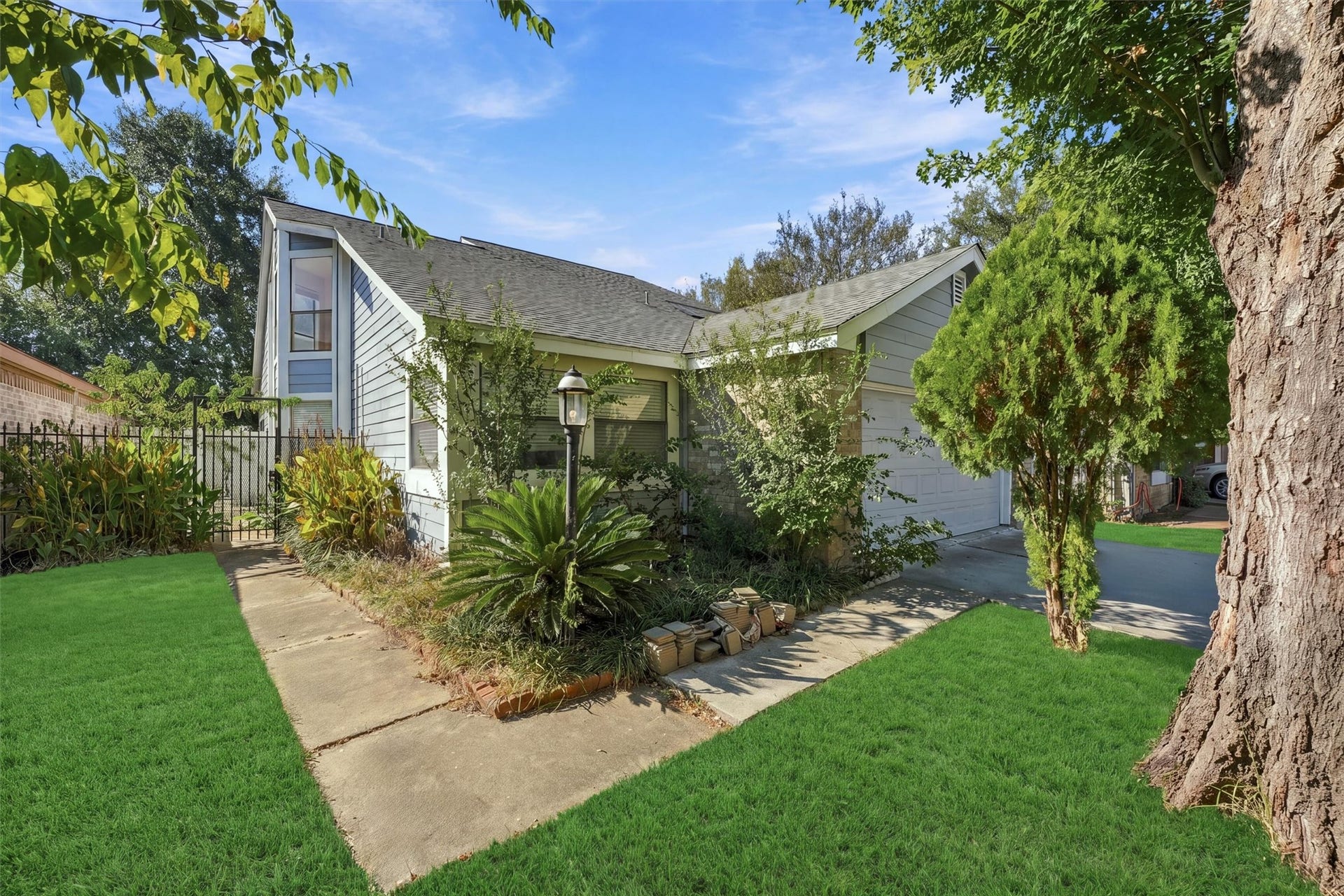 12719 Hollandale Drive, Houston, TX 77082 Backyard includes a curved walkway, mature trees, and established landscaping, adding greenery and shade to the outdoor space.