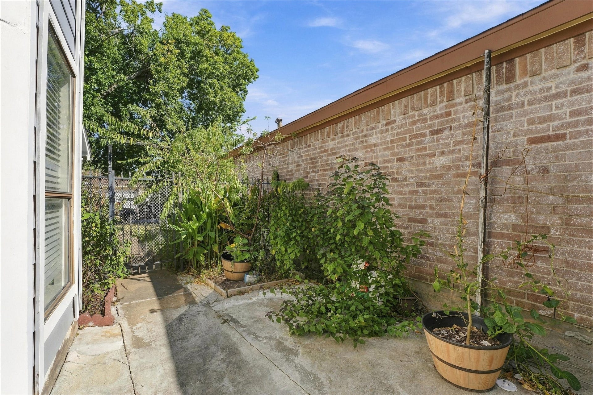 12719 Hollandale Drive, Houston, TX 77082 Side yard includes a paved walkway bordered by brick walls, established shrubs, and greenery along the home's exterior.