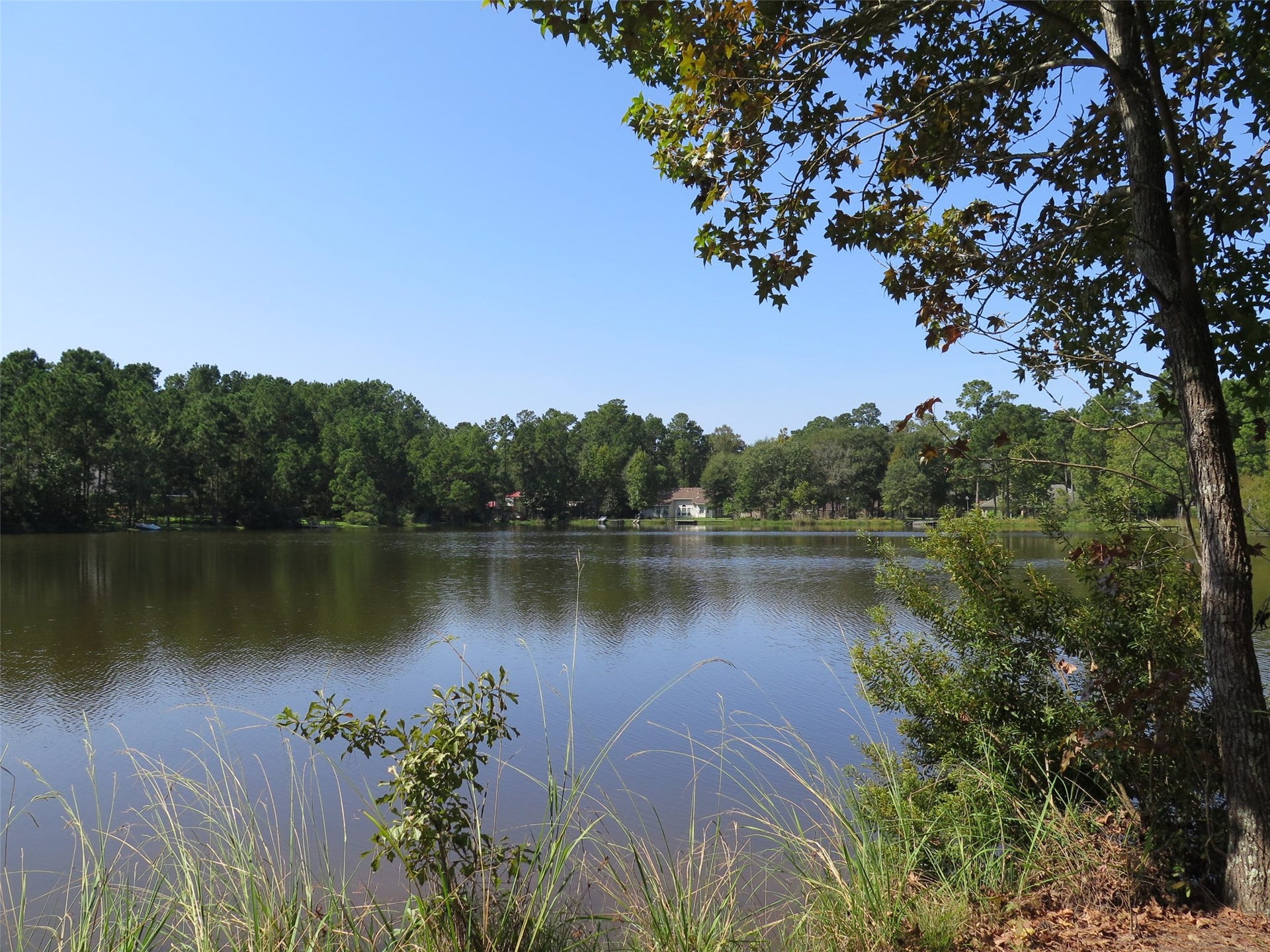 118 Artesian Way, New Caney, TX 77357 118 Artesian Way, New Caney, TX 77357