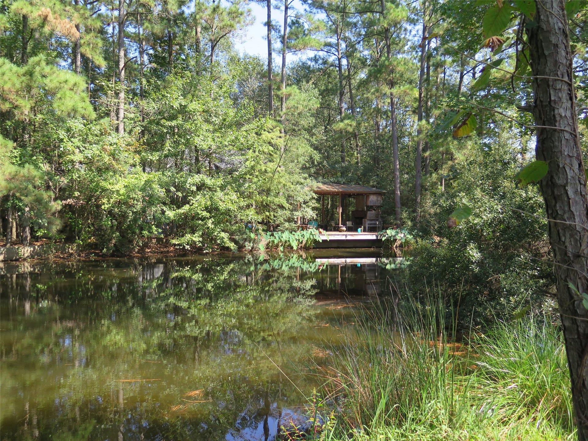 118 Artesian Way, New Caney, TX 77357 118 Artesian Way, New Caney, TX 77357
