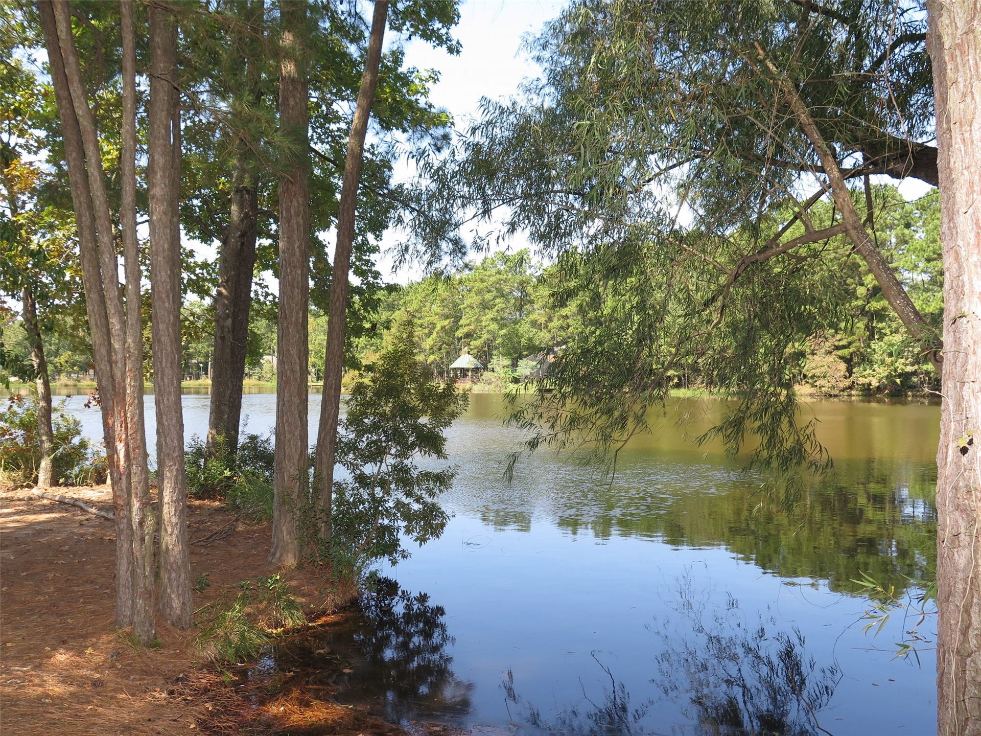 118 Artesian Way, New Caney, TX 77357 118 Artesian Way, New Caney, TX 77357