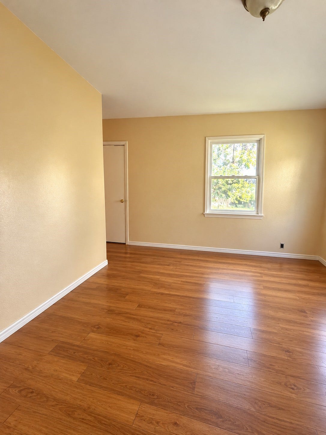3714 Wyoming Street, Houston, TX 77021