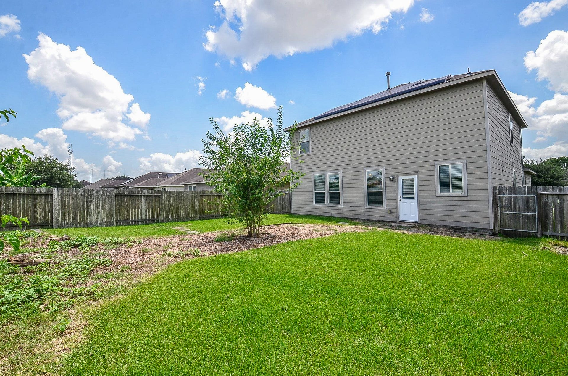 2539 Bedrock Lane, Missouri City, TX 77489 Spacious backyard with lush green lawn, mature tree, and privacy fencing, perfect for outdoor activities and relaxation.