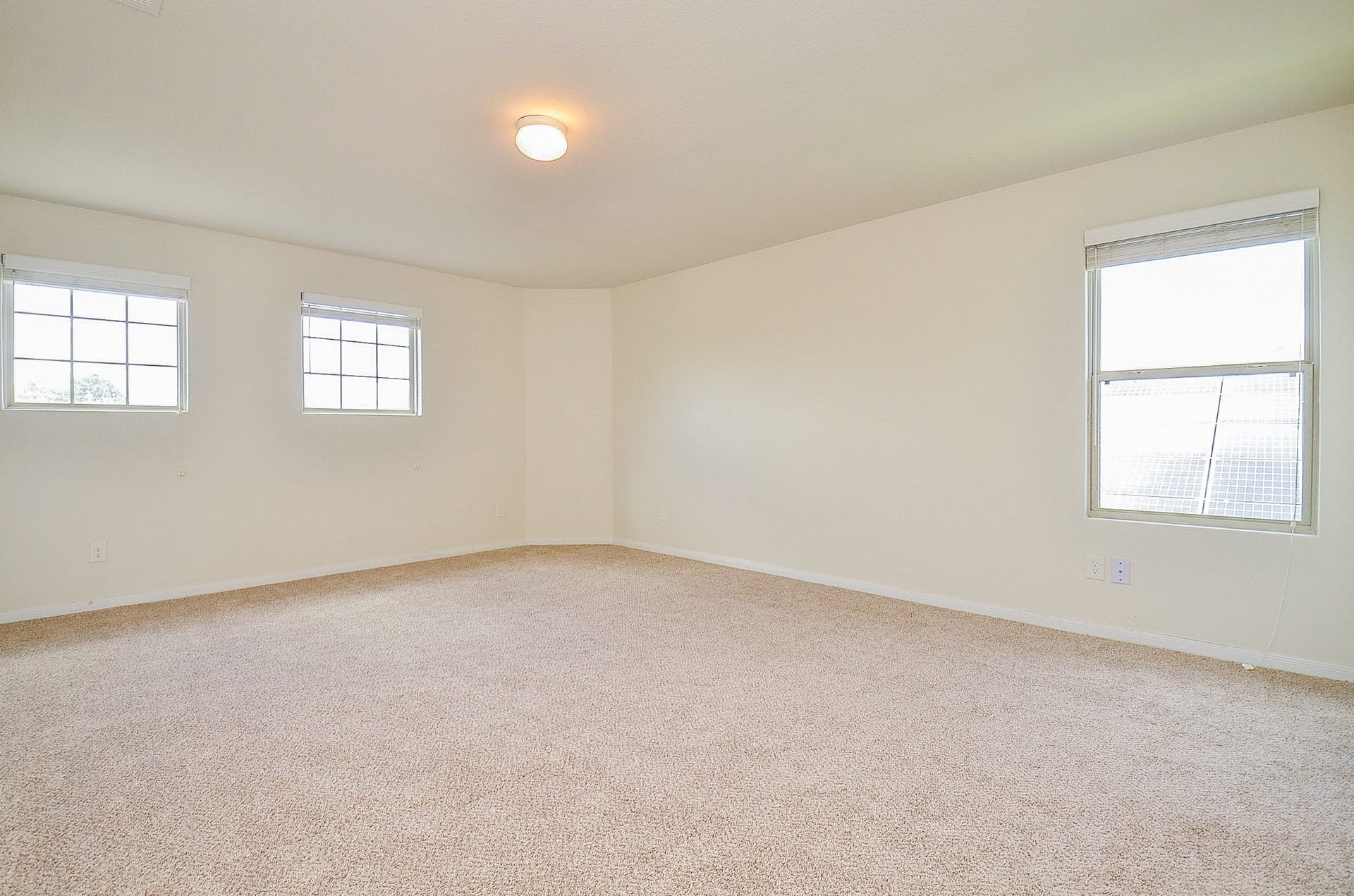 2539 Bedrock Lane, Missouri City, TX 77489 Spacious and bright room with soft carpeting and ample natural light from multiple windows, perfect for versatile use.