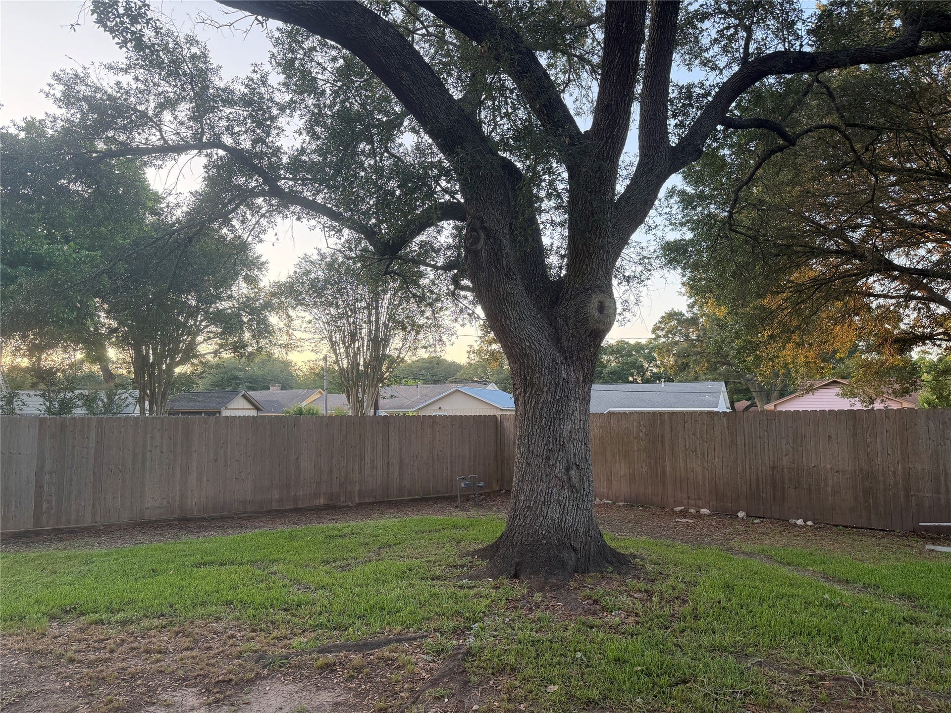 3815 Avenue R, Rosenberg, TX 77471 Large backyard