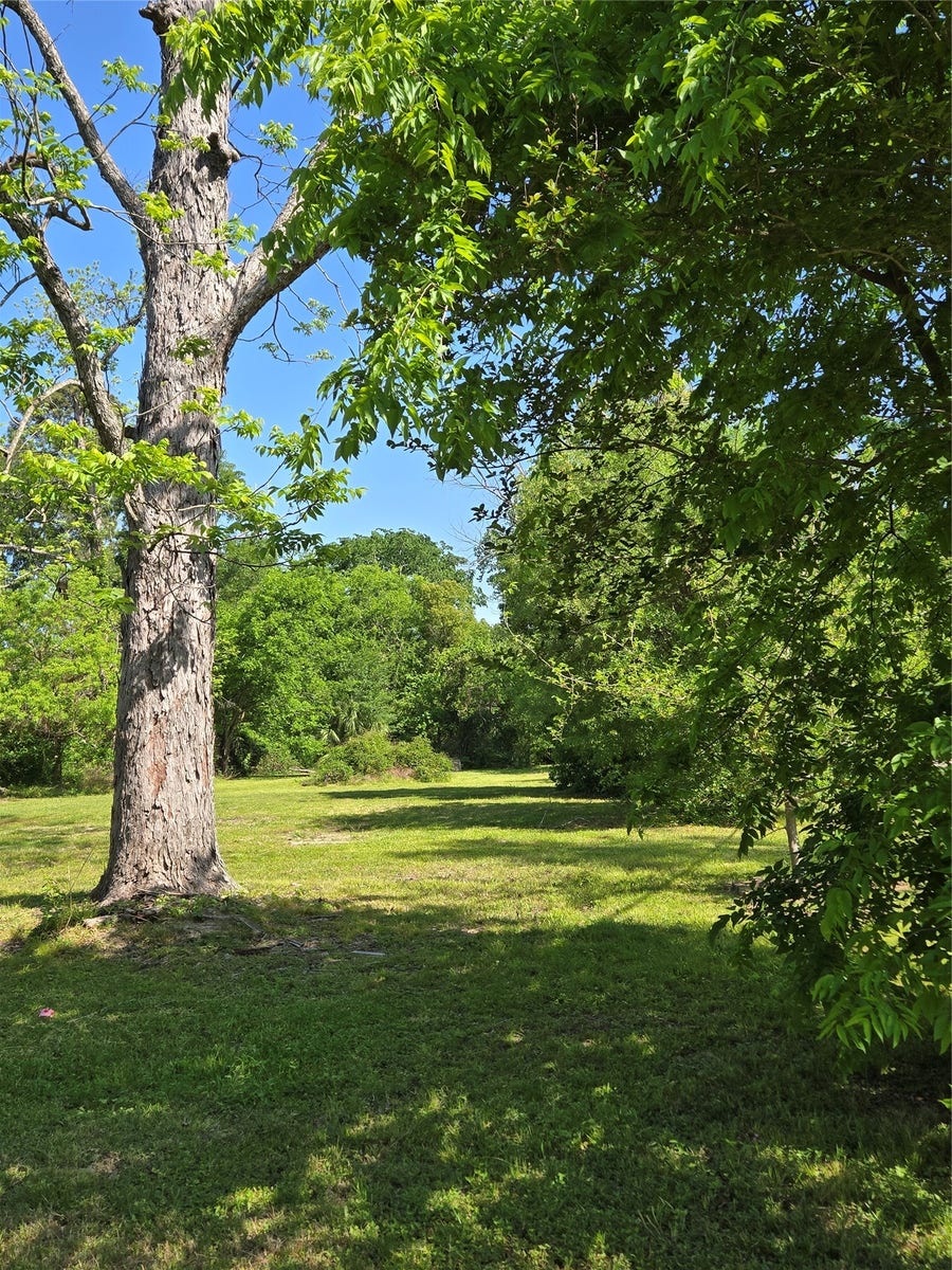 Property photo for 502 Del Norte Street, Houston, TX