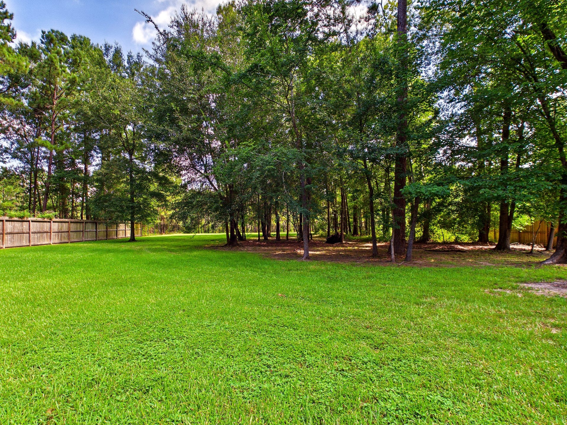 19521 Desna Drive, Porter, TX 77365 This photo showcases a spacious, grassy backyard, fully fenced, with a wooded area providing privacy and natural beauty. Ideal for outdoor activities and relaxation.