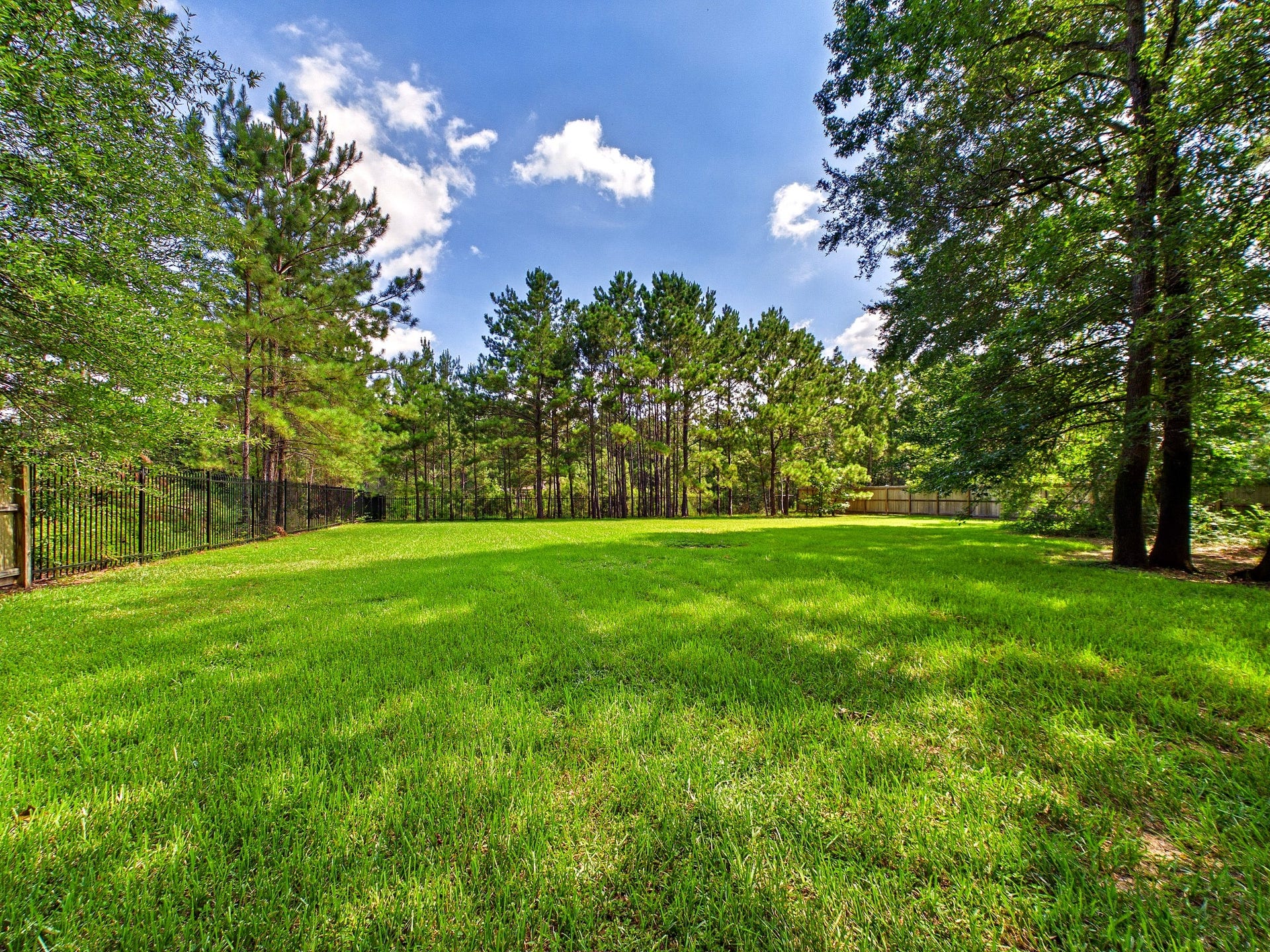 19521 Desna Drive, Porter, TX 77365 Spacious and lush backyard bordered by trees, offering privacy and a serene outdoor setting. Perfect for relaxation or entertaining.
