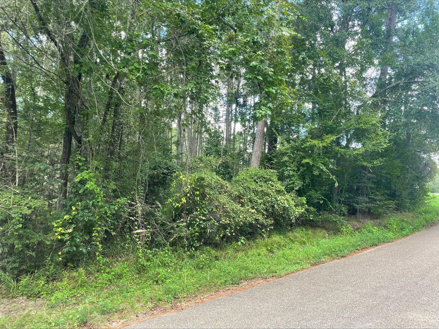 Property photo for TBD0.57AC Magnolia Bend Dr, Conroe, TX