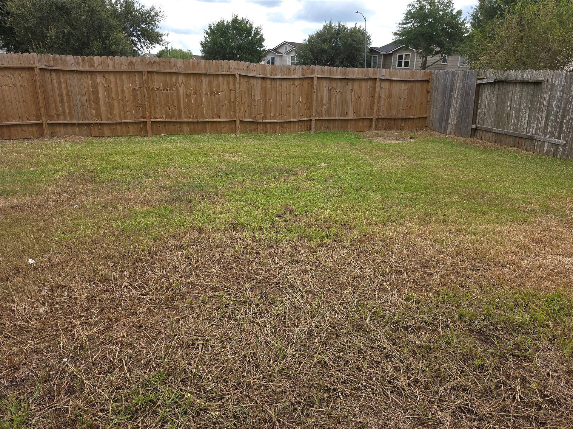 19705 Rustic Lake Lane, Cypress, TX 77433 Big Back Yard