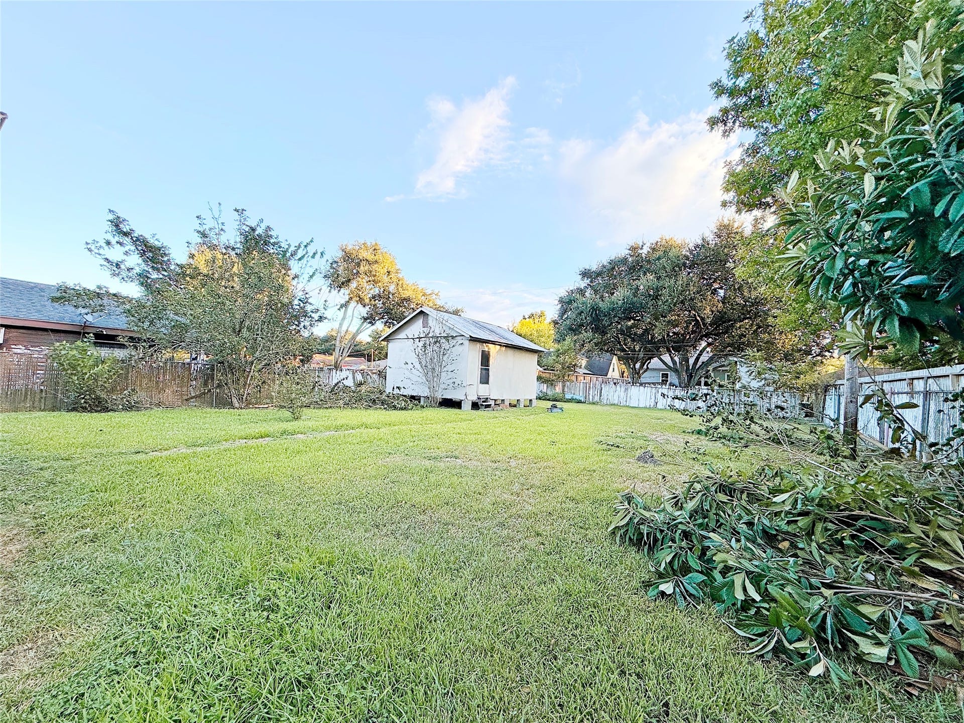 8116 Gulick Lane, Houston, TX 77075 Spacious backyard with lush grass, mature trees, and a practical storage shed, perfect for outdoor activities and gardening.