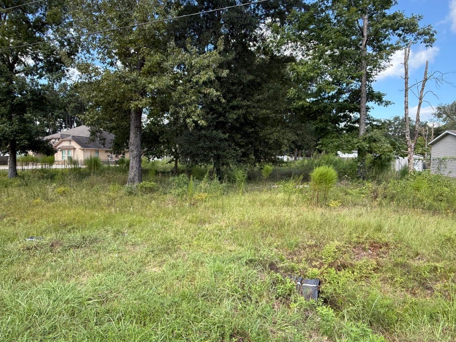 Property photo for 23923 Paper Wasp Lane, New Caney, TX
