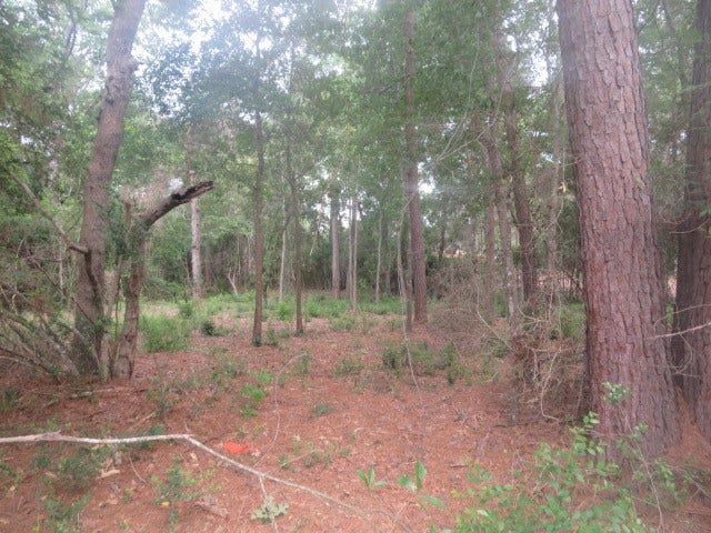 Property photo for 15245 HILLSHIRE PL, Plantersville, TX