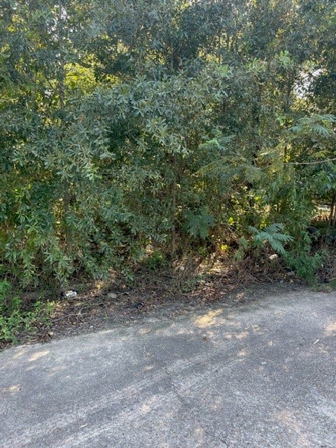 11406 Spicewood Lane, Houston, TX 77044 11406 Spicewood Lane, Houston, TX 77044