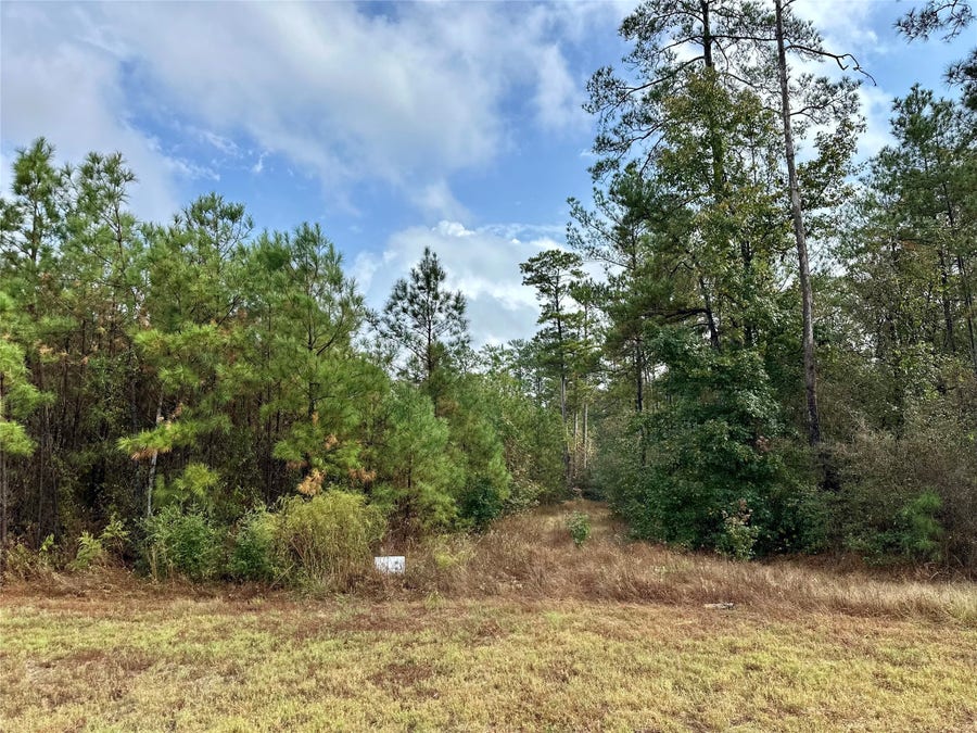 Property photo for 15886 Wood Grove Way, Willis, TX