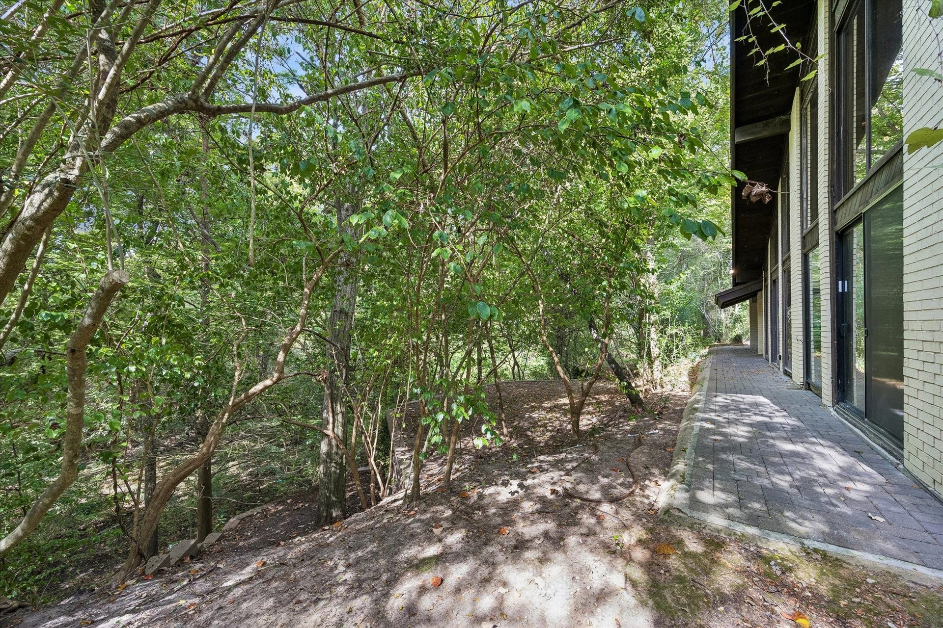 104 Gershwin Drive, Houston, TX 77079 View along the front of the home, where expansive windows overlook the surrounding mature trees & wooded ravine.