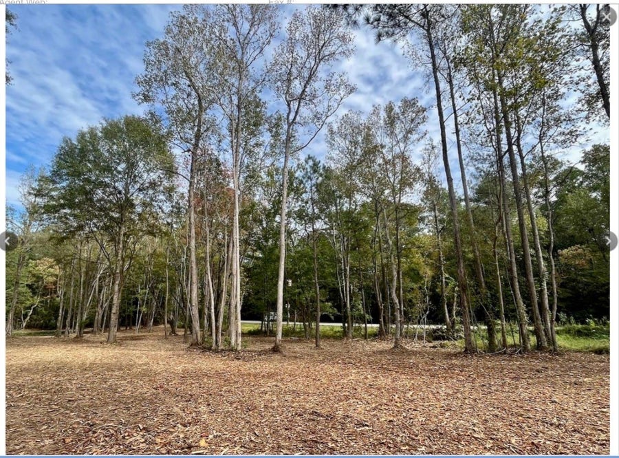 Property photo for 10690 Waukegan Road, Conroe, TX