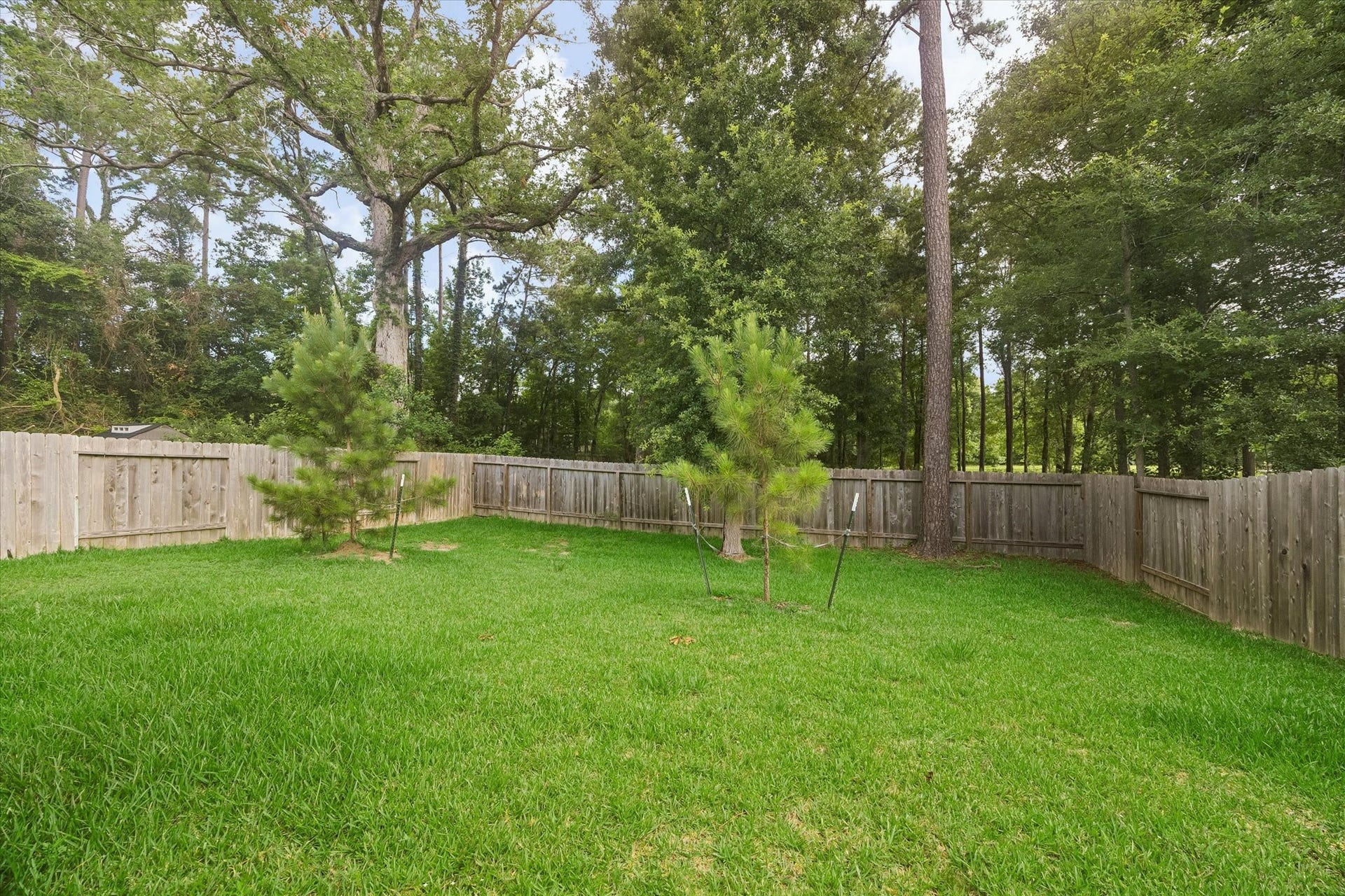 4050 Timber Sapp Drive, Conroe, TX 77304 4050 Timber Sapp Drive, Conroe, TX 77304