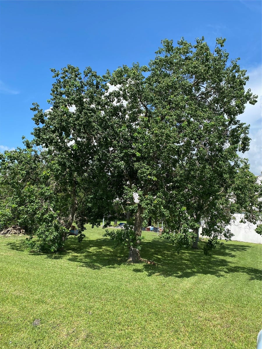 Property photo for 520 12th Street, San Leon, TX