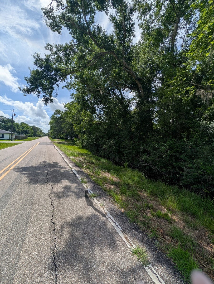 Property photo for 000 Oak Forest Street, Brazoria, TX