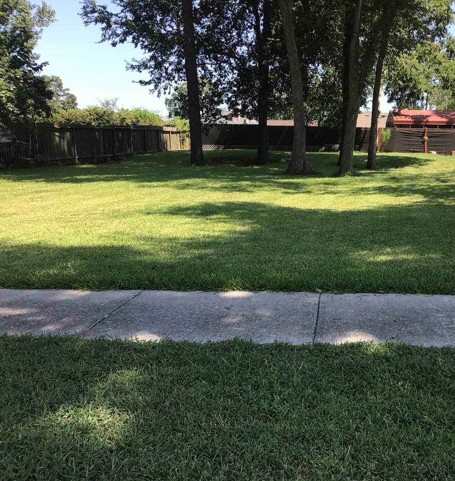 Property photo for 6723 Sandy Oaks Drive, Houston, TX
