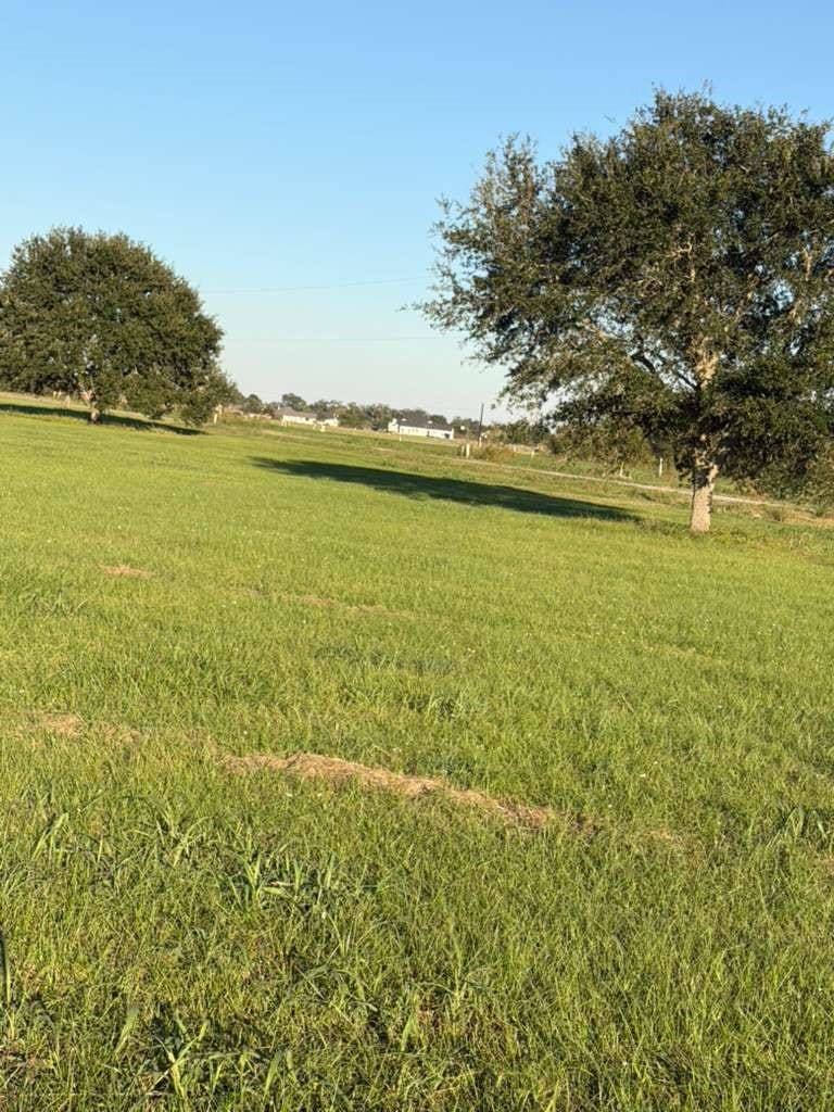 Property photo for 16318 Deerhaven Run, Rosharon, TX