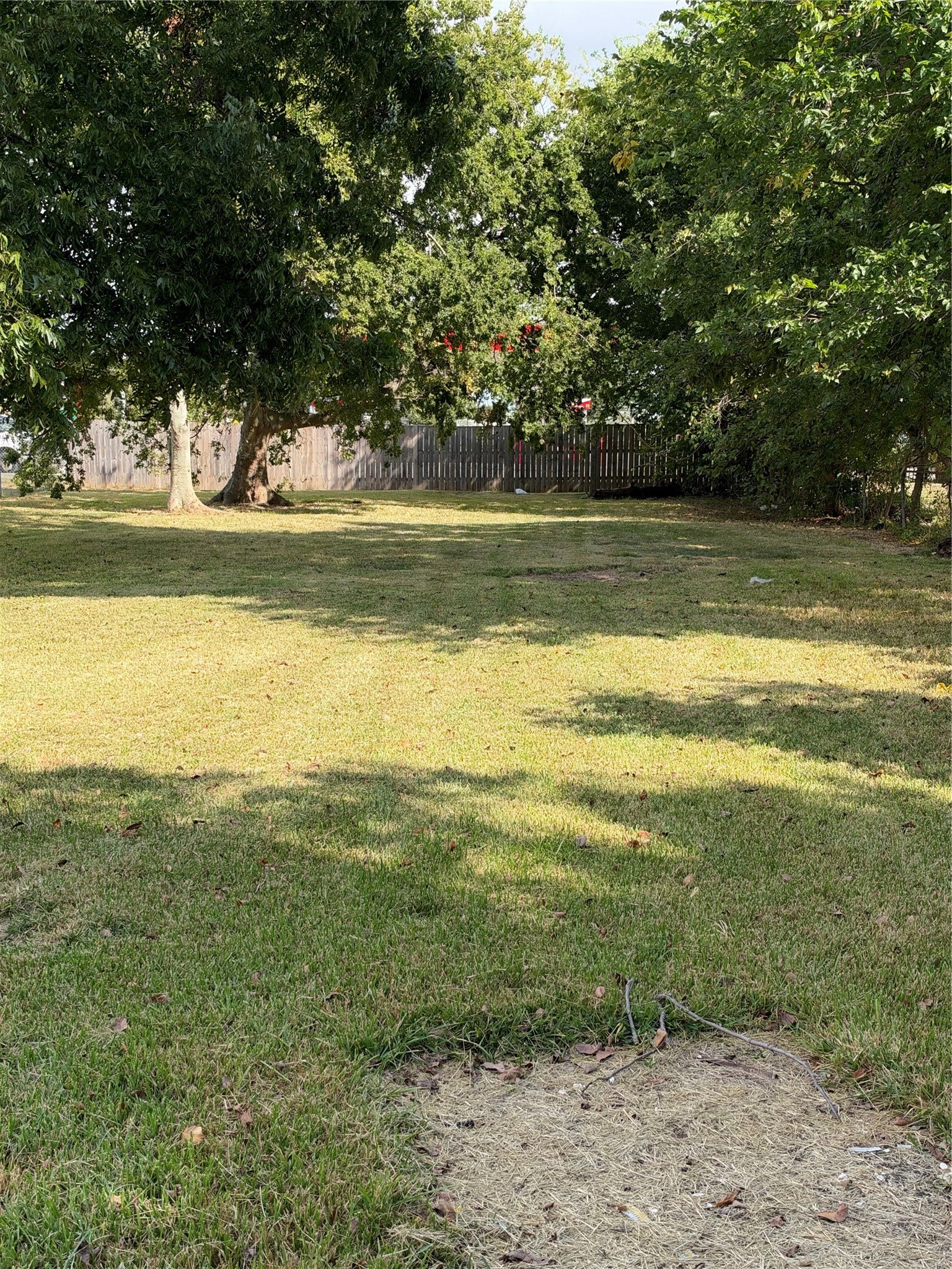 5306 Pickfair Street, Houston, TX 77026 Massive back yard
