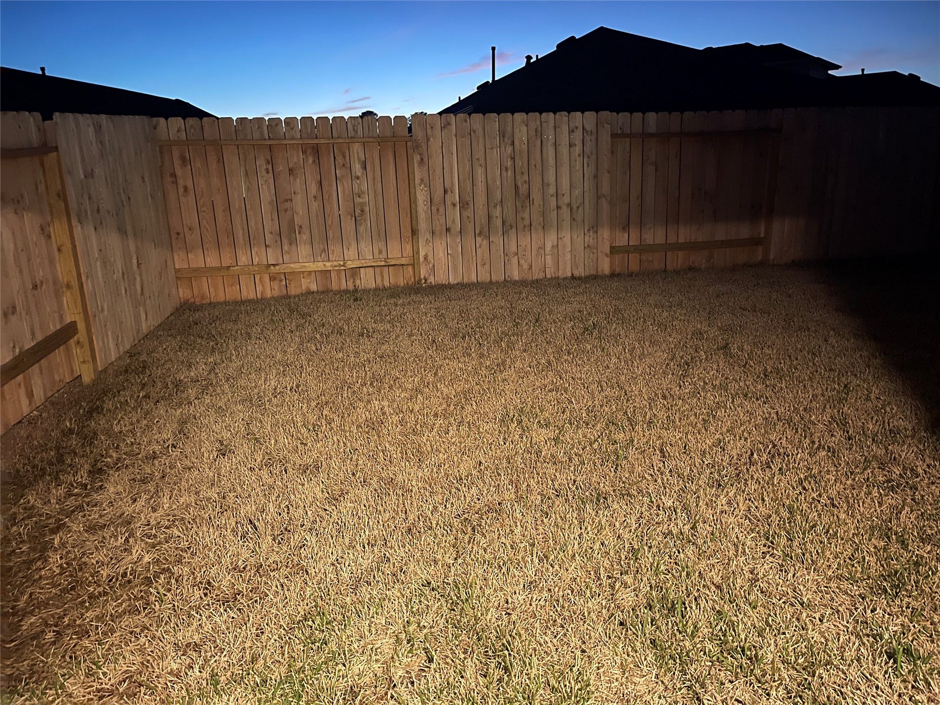 Spacious Backyard