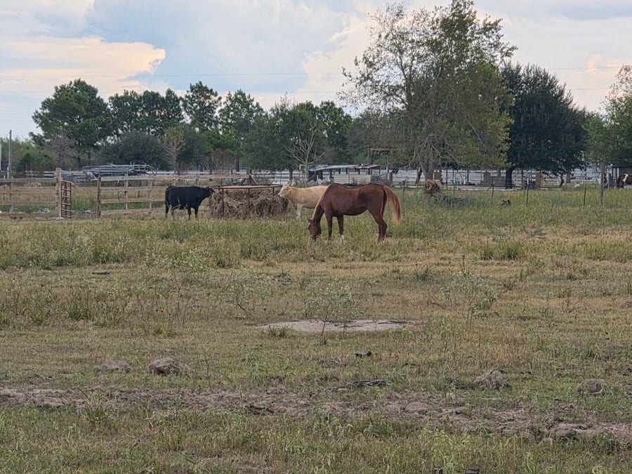 Property photo for 36847 Richard frey Drive, Hempstead, TX