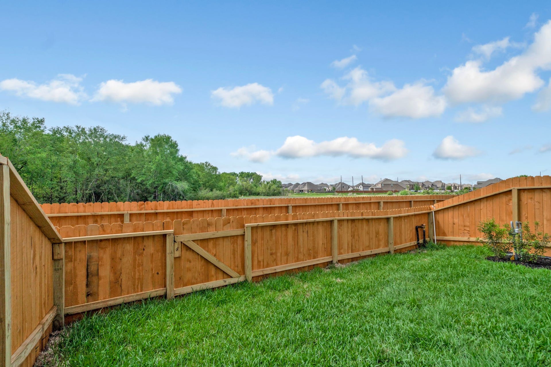 27839 Western Creek Ct, Katy, TX 77494 Great backyard!!