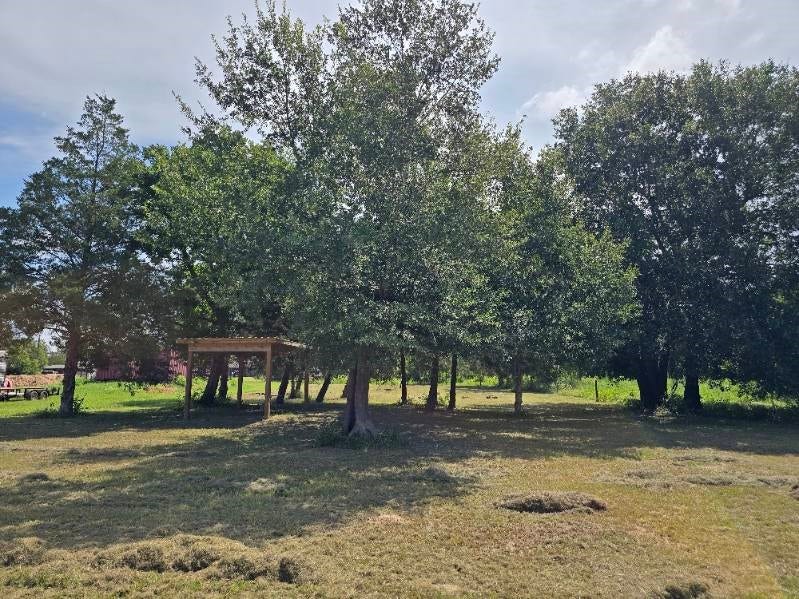 20714 Pearl Street, Prairie View, TX 77484 20714 Pearl Street, Prairie View, TX 77484