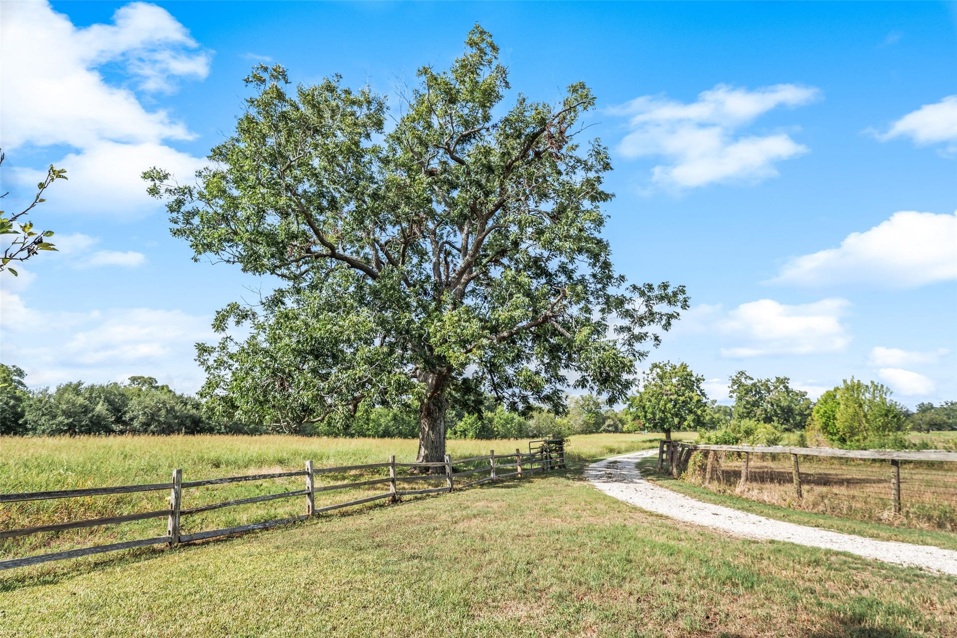 38914 Sampson Road, Brookshire, TX 77423 Mature trees greet you throughout the property