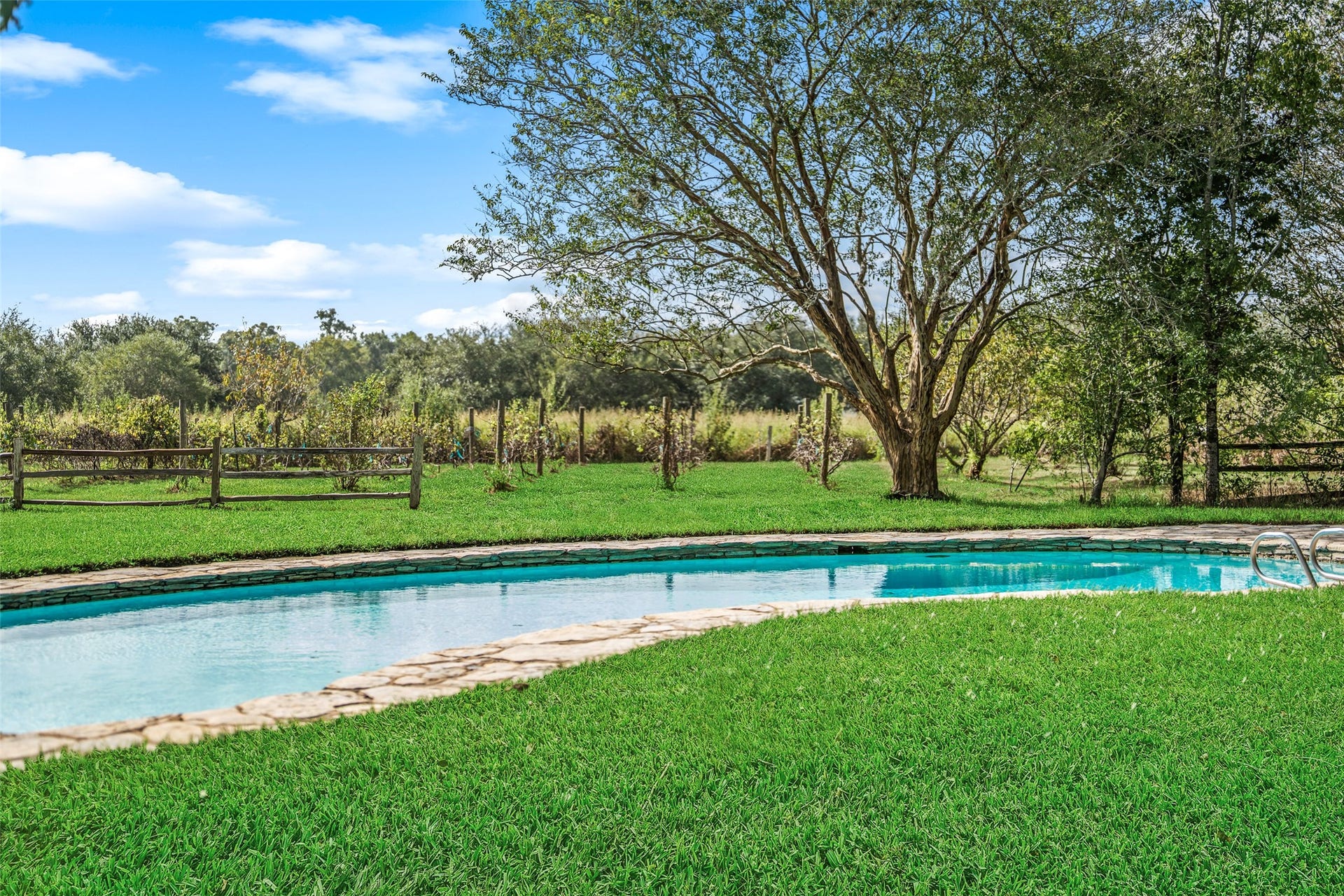 38914 Sampson Road, Brookshire, TX 77423 A view made for country living poolside relaxation with the vineyard stretching out just beyond.