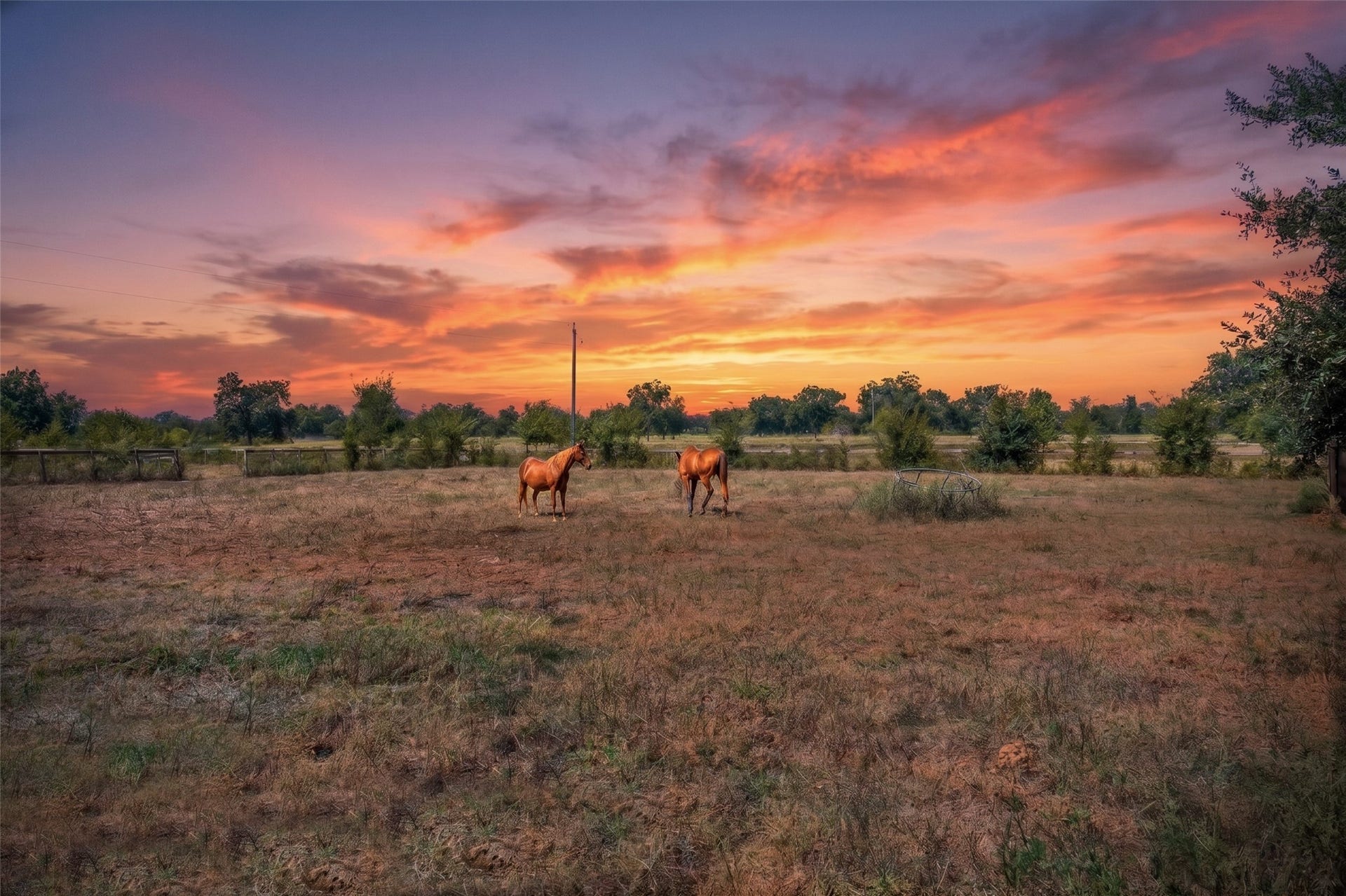 38914 Sampson Road, Brookshire, TX 77423 38914 Sampson Road, Brookshire, TX 77423