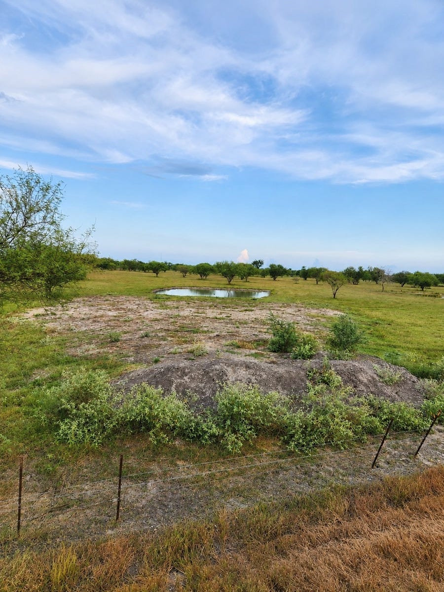 Property photo for 13520 Moody Road, Needville, TX
