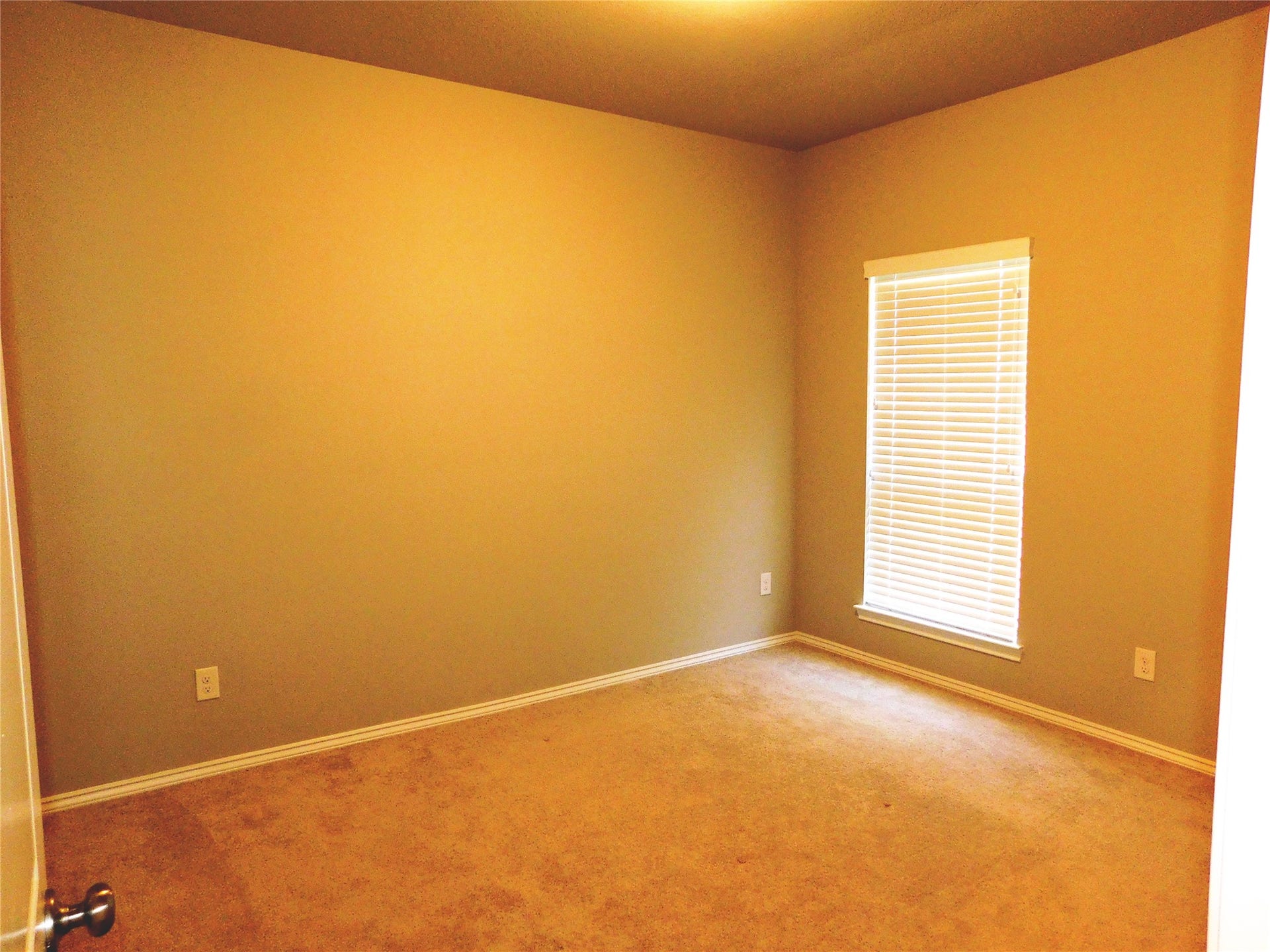 8152 Rosemary Sage Drive, Magnolia, TX 77354 8152 Rosemary Sage Drive, Magnolia, TX 77354